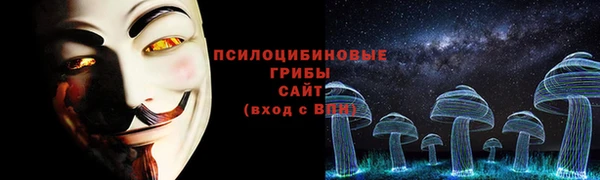 бошки Болохово