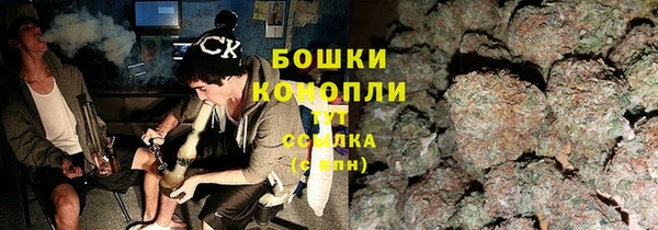 spice Вяземский