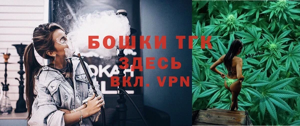 гашик Горняк