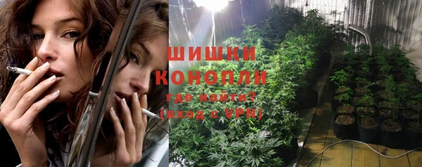 spice Вяземский