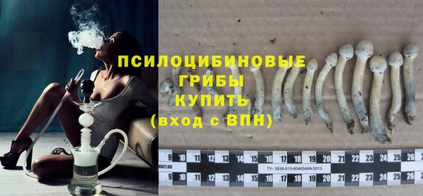 spice Вяземский