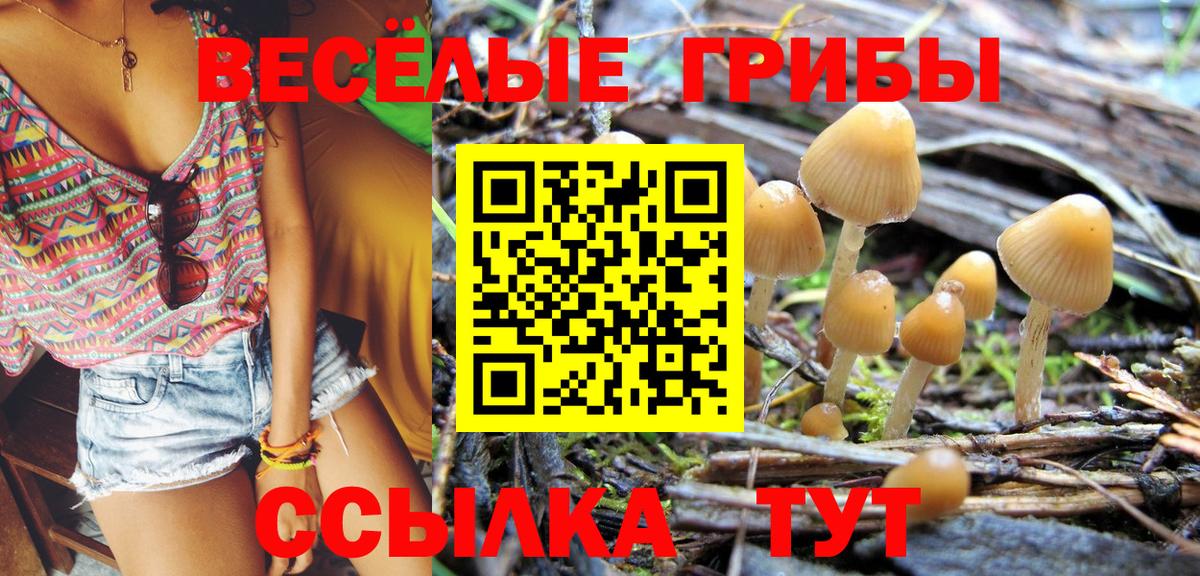 Галлюциногенные грибы ЛСД Ейск